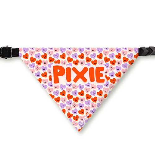 PawsIndia Customized Pet Bandana - Valentine's Edition Cute Hearts Print