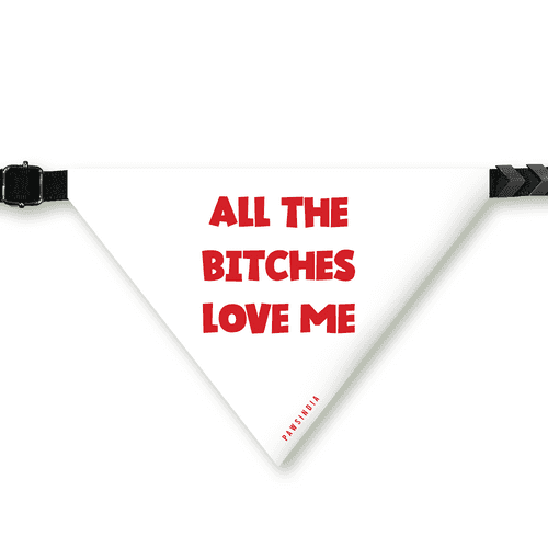 PawsIndia Pet Bandana - All The Bitches Love Me