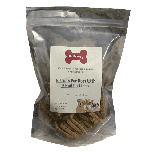 Biscuits for Dogs with Renal Problems | Promotes Kidney Health