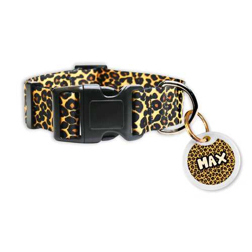 Pawsindia Cheetah Collar and Customized Name Tag Combo