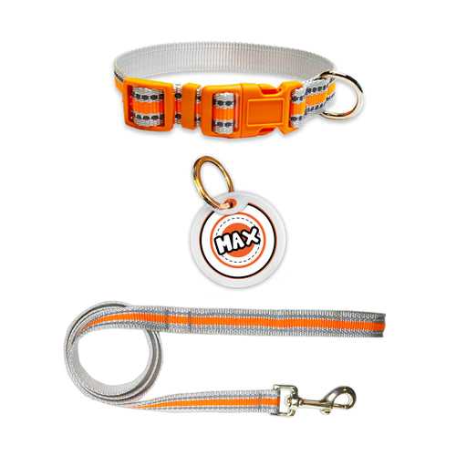 Pawsindia Orange Reflective Collar, Leash and Customized Name Tag Combo