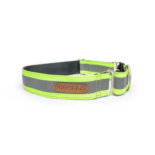 PetWale Reflective Green Martingale Collar