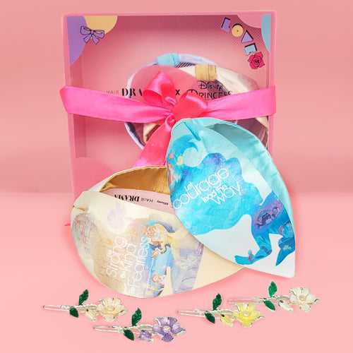 HDC x Disney Rainbow Gift Box