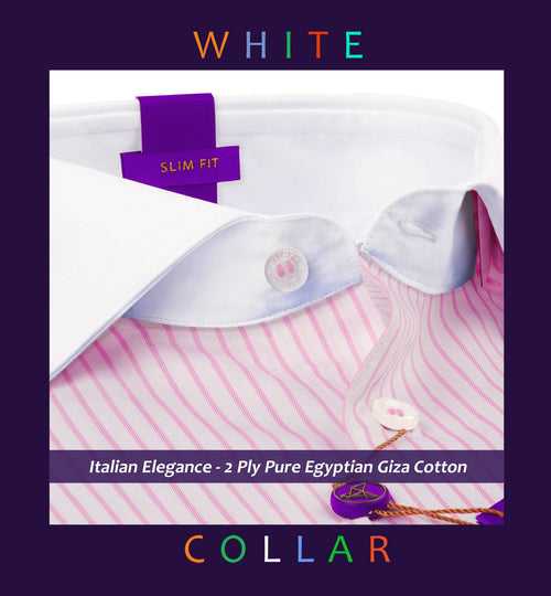 Campania- Flamingo Pink & White Stripe- White Collar- 2 Ply Egyptian Giza Cotton-Delivery from 17th May