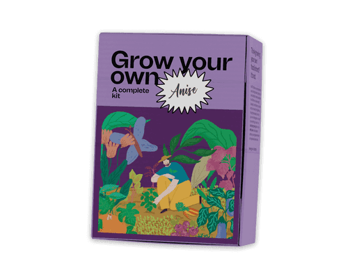 Anise Growing Kit