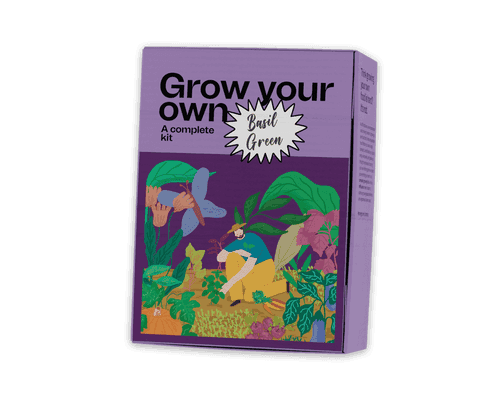 Basil Green Growing Kit