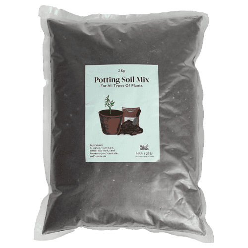 Potting Soil - 2 KG