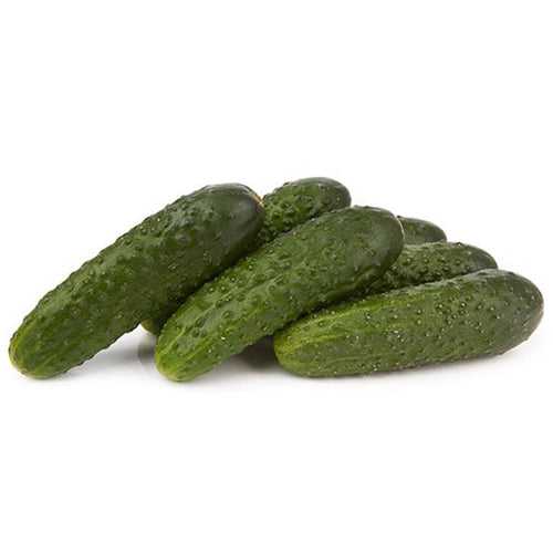 Cucumber Marketmore Seeds