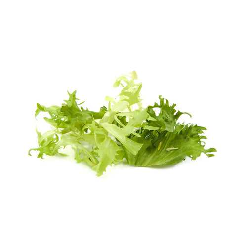 Curly Endive Baby Leaf Seeds