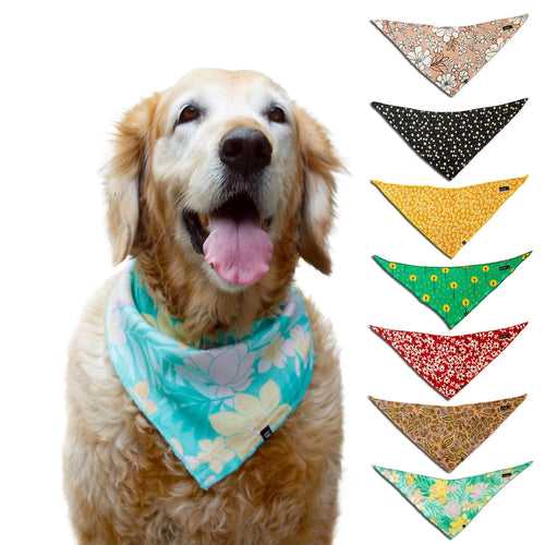 Playtime Allover Printed Knotty Dog Bandana | SoftTech Fabric