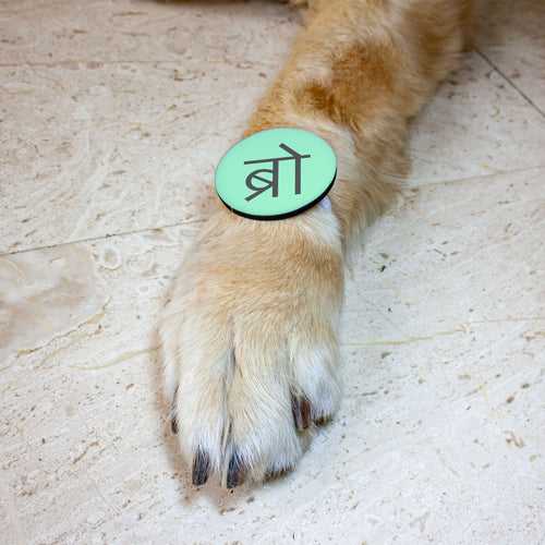 Ruse Pet Rakhi "BRO" Printed Rakhi/Fridge Magnet Rakhi For Dog & Cat.