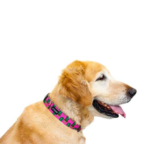 All-over printed Military Grade Canvas Dog Neck Collar