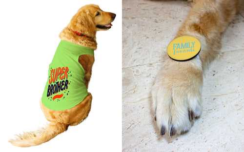 Set Of Dog Tee with Rakhi "Super Brother & Family Favorite" Printed Vest & Fridge Magnet Rakhi Gift For Bro/Boys Dogs