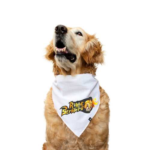 "Kolkata Right Striders" Printed Knotty Dog Bandana