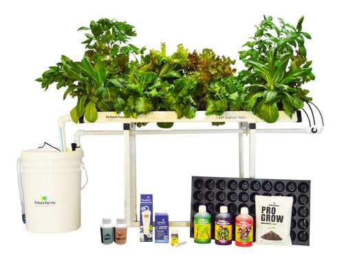 The Leaf Station Hydroponic System