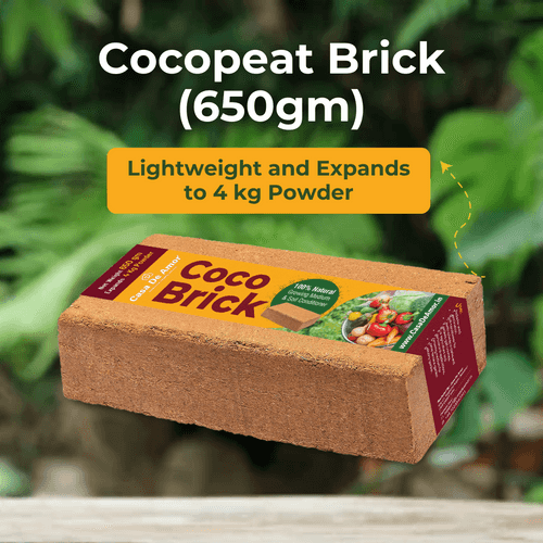 Casa De Amor Cocopeat Brick (650gm) High Water-Holding Capacity, Expands to 4kg Powder