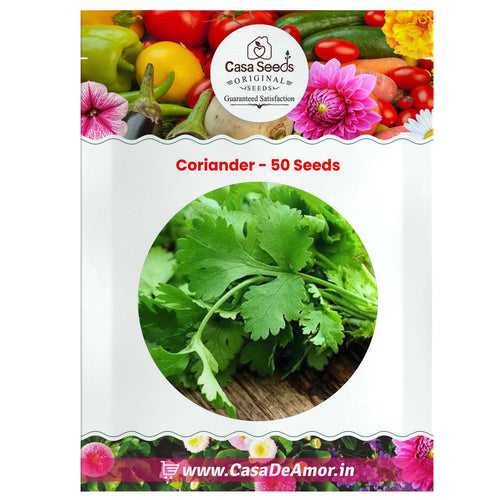 Organic Coriander Seeds - 50 Seeds