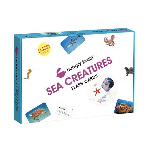 Hungry Brain Sea Creatures Flash Cards