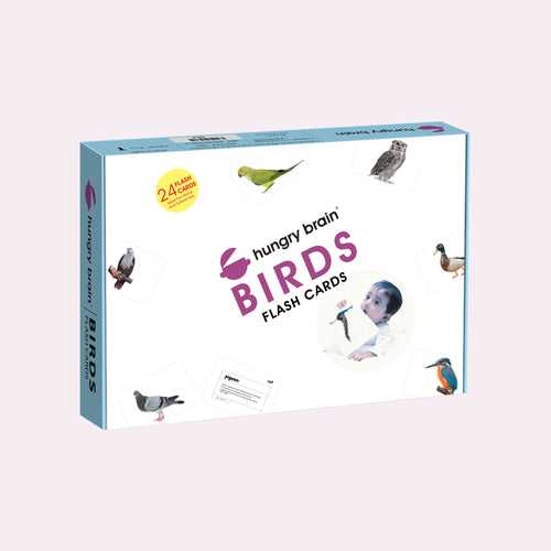 Hungry Brain Birds Flash Cards