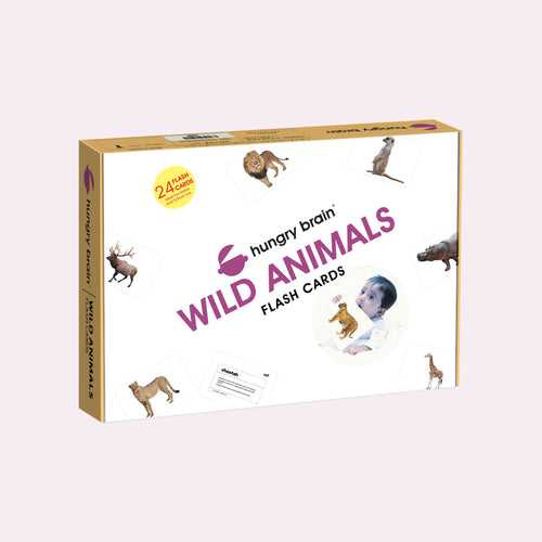 Hungry Brain Wild Animals Flash Cards