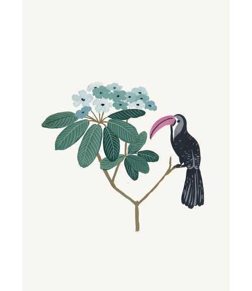 Wall Art | Toucan