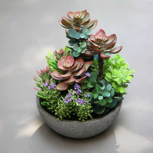 Artificial Succulent Plant - Red Leaves