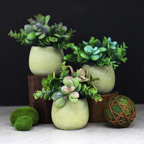 Artificial Succulent Plants - Set of 3