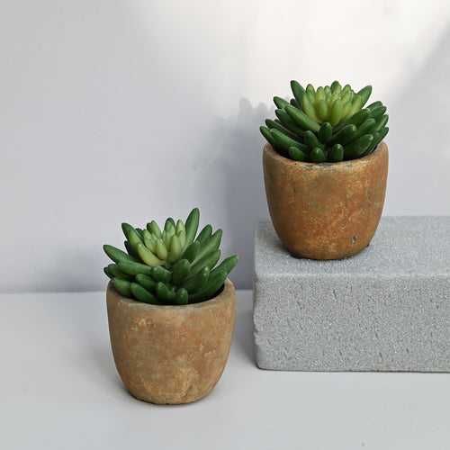 Green Succulent Artificial Plant Set