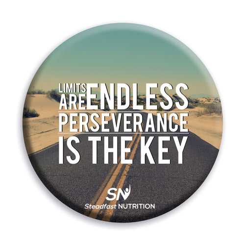 Perseverance Fridge Magnet