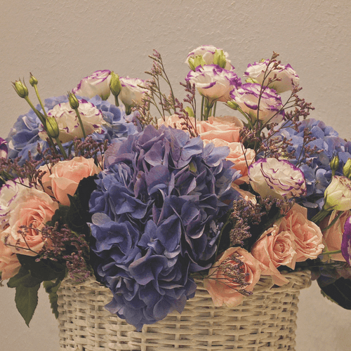 Tuscan Flowers