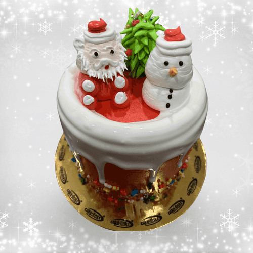 Merry Christmas Cake