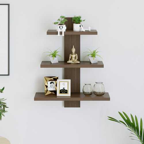 Phelix Wall Shelf & Display Rack (Large)