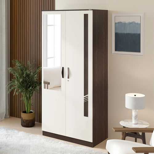 Andrie 2 Door Wardrobe with Mirror and Drawer