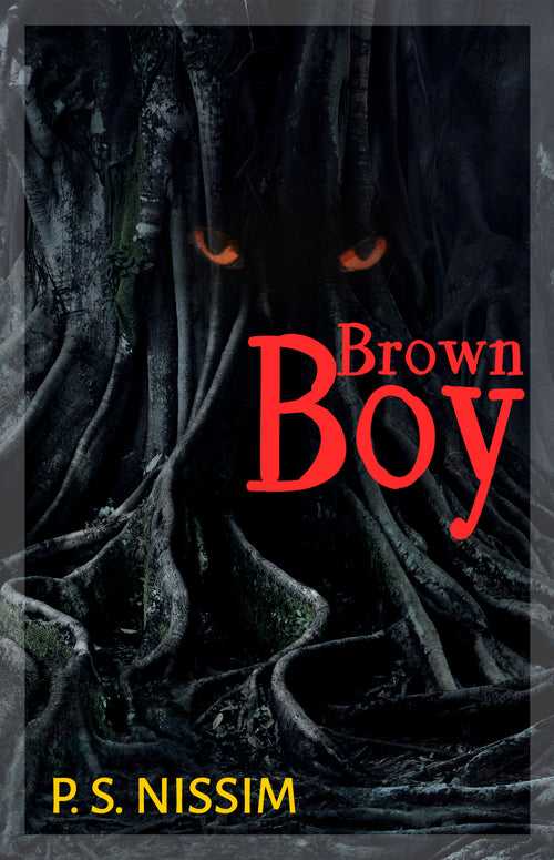 Brown Boy (eBook)