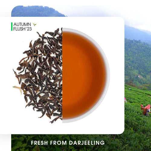 Darjeeling Goomtee Autumn Chinary Black