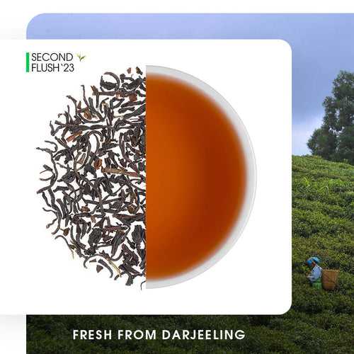 Darjeeling Lopchu Golden Orange Pekoe Black