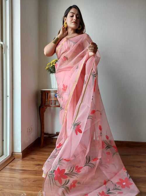 Hand Painted saris in Organza silk, with Blouse