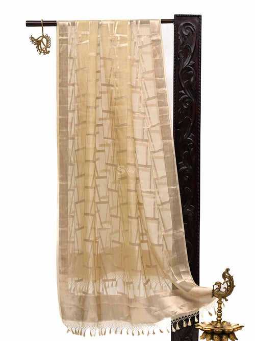 Pastel Yellow Tissue Jaal Handloom Banarasi Dupatta