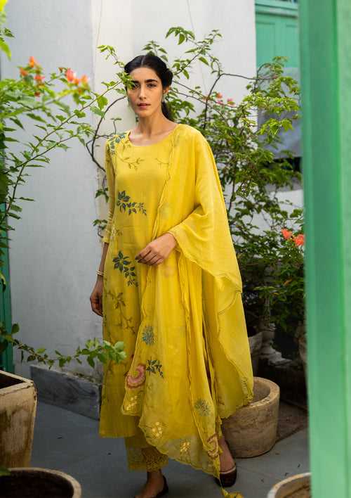 Daffodil Multi Hued Applique Kurta Set