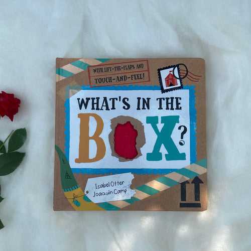 What's in the Box Children's Book
