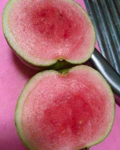 Red Diamond Guava - Seedless Guava