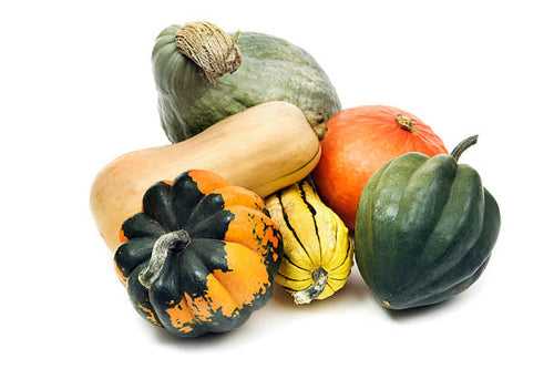 ORGANIC SQUASH