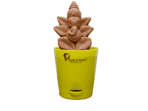 Organic Plant Ganesha with Recyclable Self Watering Pot