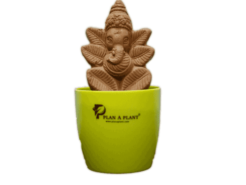 Organic Plant Ganesh with Recyclable Pot