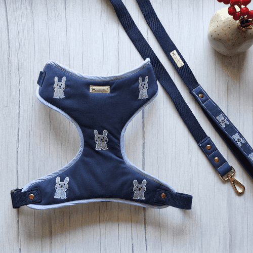 PoochMate Blue Bunny Dog Harness & Lead Set