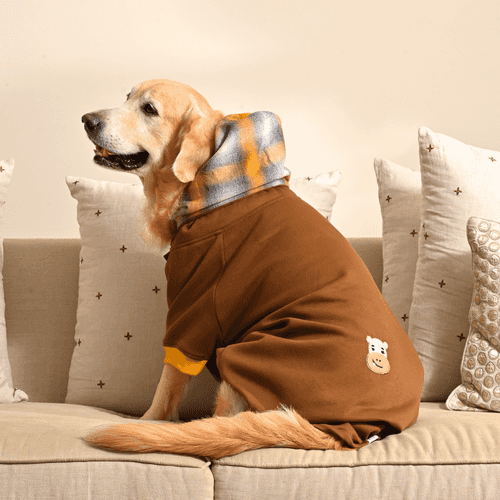 PoochMate Coffee Hippo Dog Sweatshirt