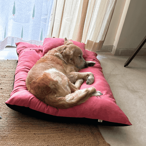 PoochMate Peach Coral Cotton Sheep Flat Dog Bed