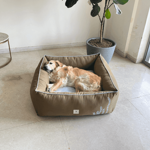 PoochMate Khaki & Blue Striped Wild Meadows Dog Bed