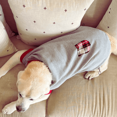 PoochMate Melange Grey Dog Sweatshirt