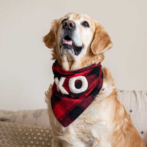 PoochMate Valentine Red Tartan Dog Bandana